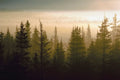Klaybird Adventure + Wellness Gift Card