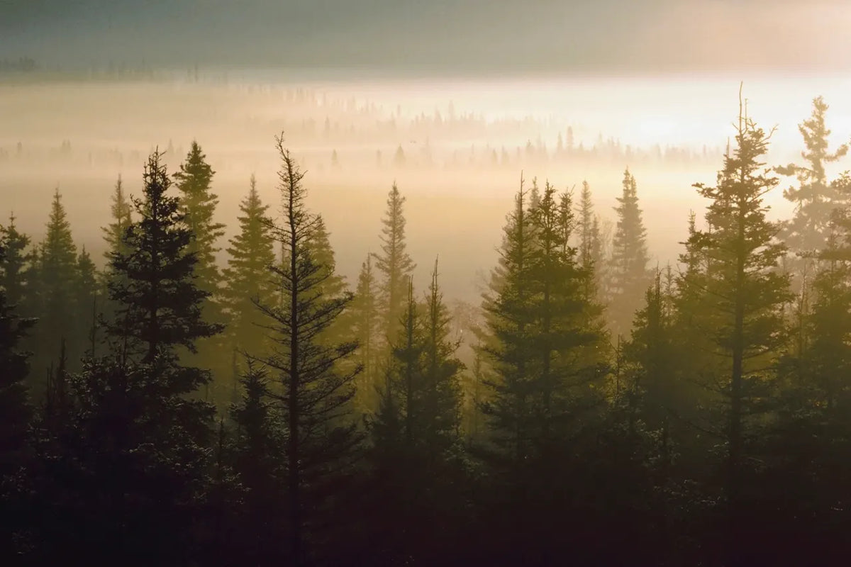 Klaybird Adventure + Wellness Gift Card